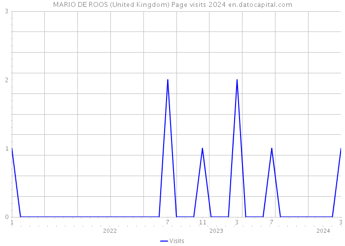 MARIO DE ROOS (United Kingdom) Page visits 2024 