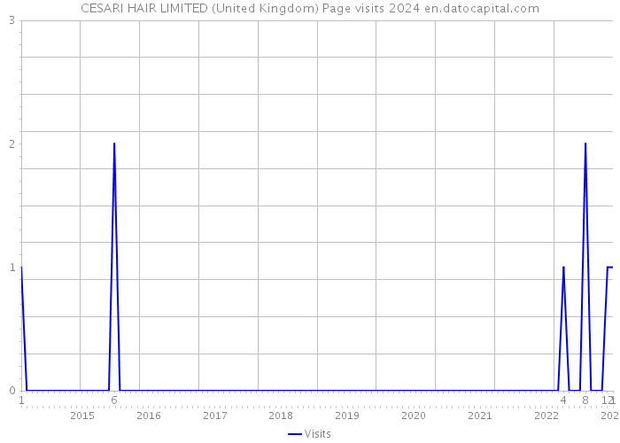 CESARI HAIR LIMITED (United Kingdom) Page visits 2024 