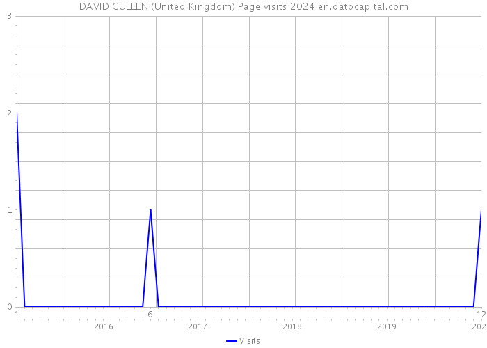 DAVID CULLEN (United Kingdom) Page visits 2024 