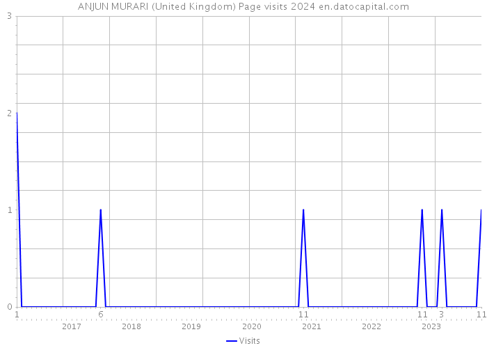 ANJUN MURARI (United Kingdom) Page visits 2024 