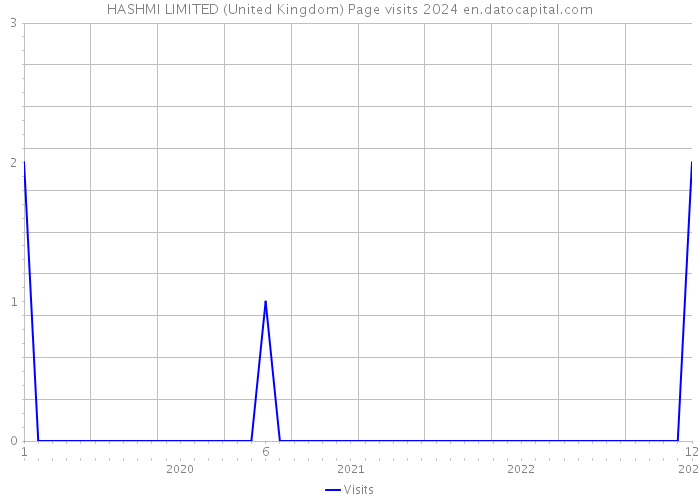 HASHMI LIMITED (United Kingdom) Page visits 2024 