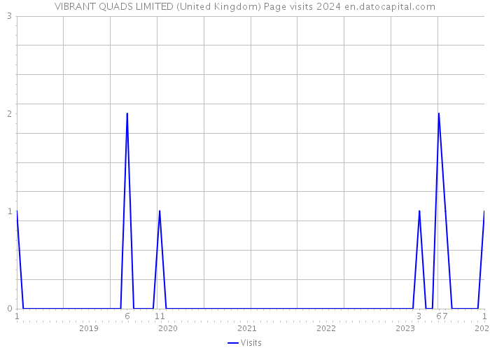 VIBRANT QUADS LIMITED (United Kingdom) Page visits 2024 