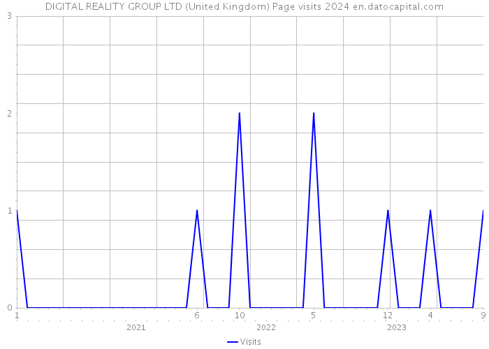 DIGITAL REALITY GROUP LTD (United Kingdom) Page visits 2024 