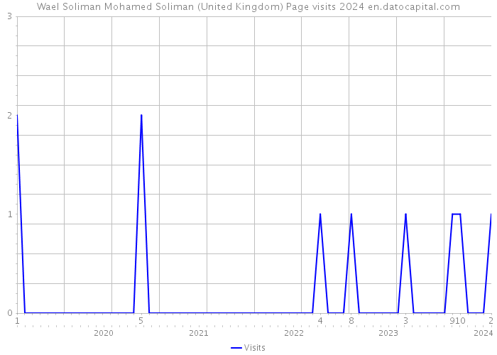 Wael Soliman Mohamed Soliman (United Kingdom) Page visits 2024 