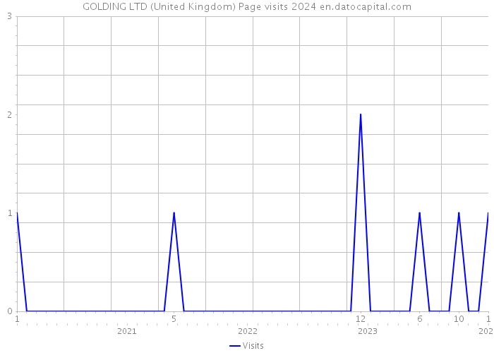 GOLDING LTD (United Kingdom) Page visits 2024 