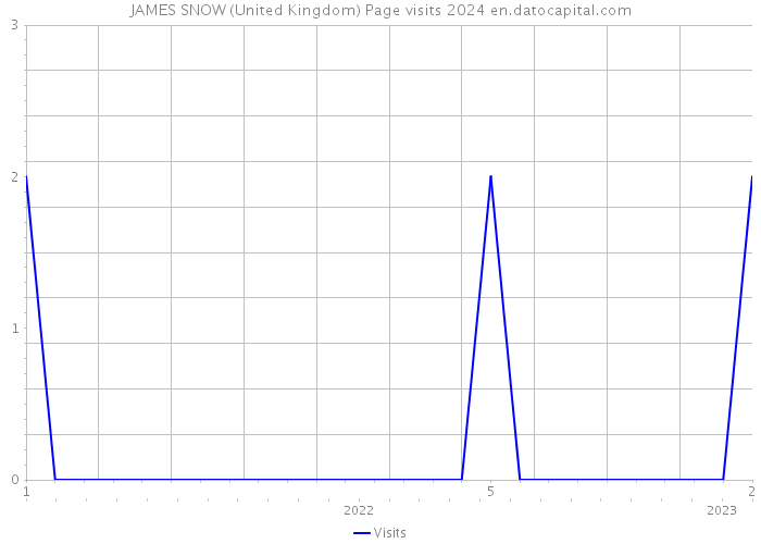 JAMES SNOW (United Kingdom) Page visits 2024 