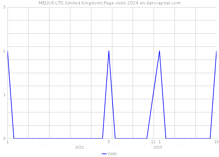 MELIUS LTD (United Kingdom) Page visits 2024 