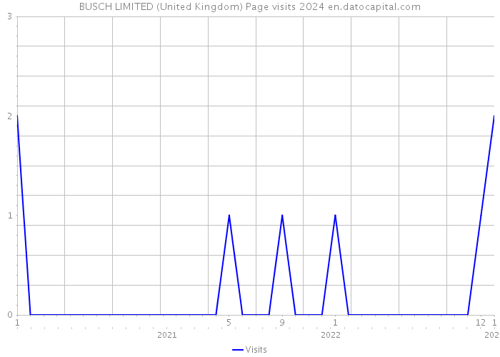 BUSCH LIMITED (United Kingdom) Page visits 2024 