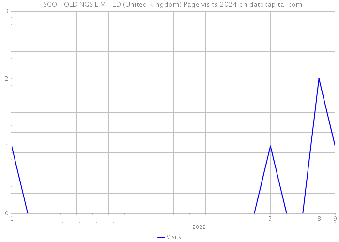 FISCO HOLDINGS LIMITED (United Kingdom) Page visits 2024 