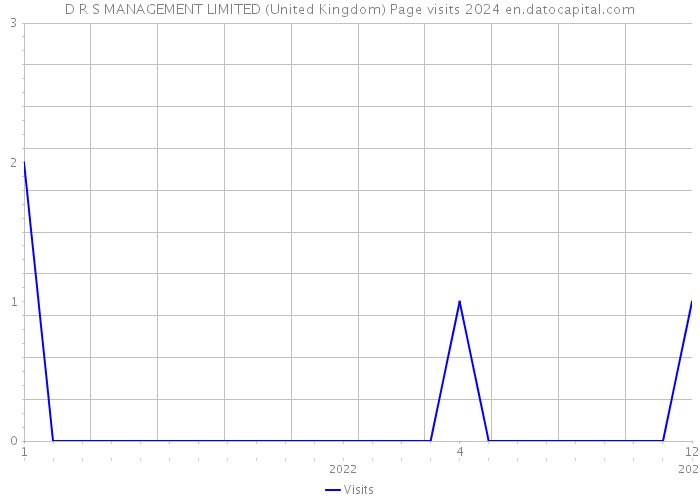 D R S MANAGEMENT LIMITED (United Kingdom) Page visits 2024 
