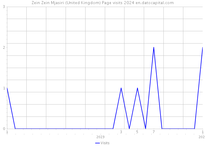 Zein Zein Mjasiri (United Kingdom) Page visits 2024 