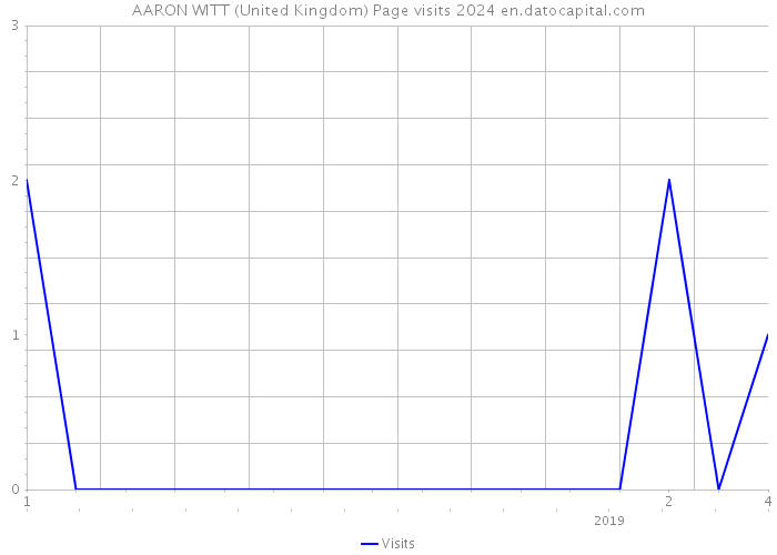 AARON WITT (United Kingdom) Page visits 2024 
