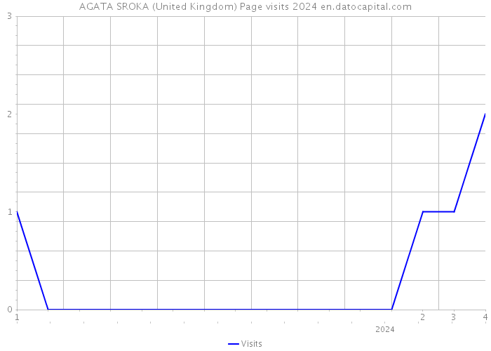 AGATA SROKA (United Kingdom) Page visits 2024 