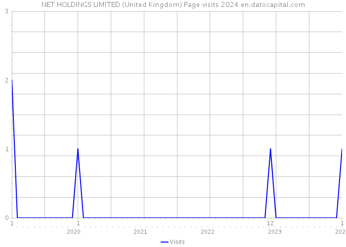 NET HOLDINGS LIMITED (United Kingdom) Page visits 2024 
