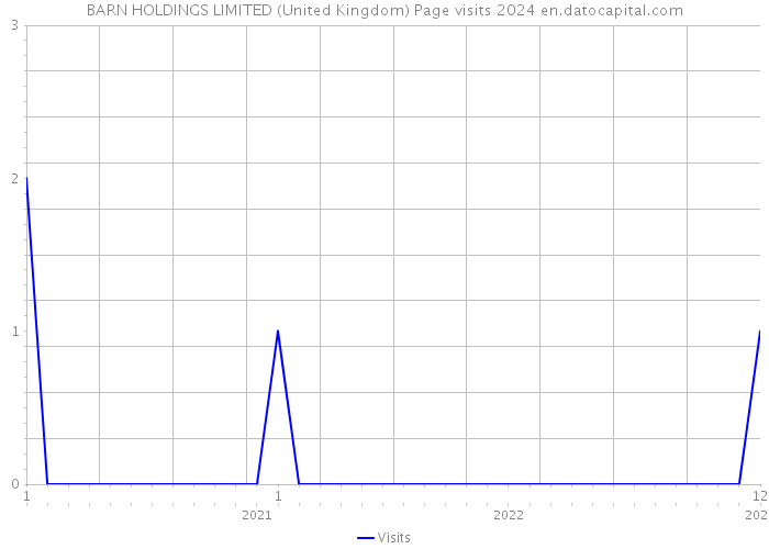BARN HOLDINGS LIMITED (United Kingdom) Page visits 2024 