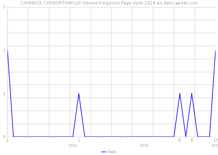 CANNOCK CONSORTIUM LLP (United Kingdom) Page visits 2024 