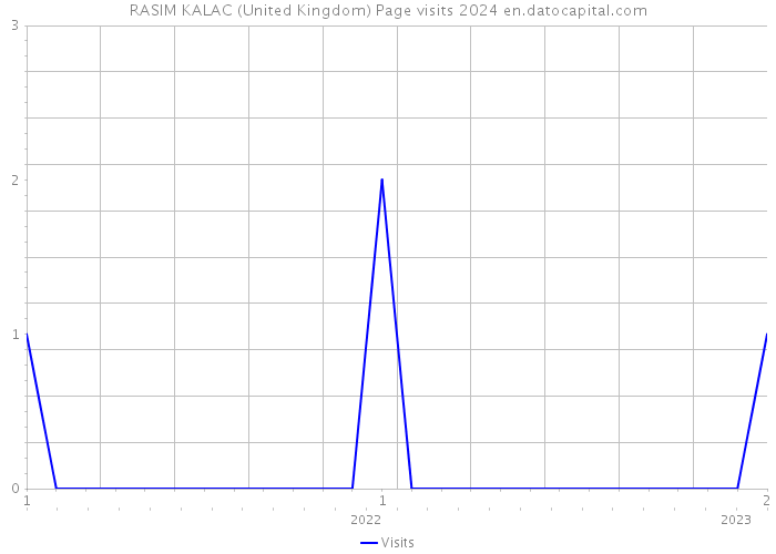 RASIM KALAC (United Kingdom) Page visits 2024 