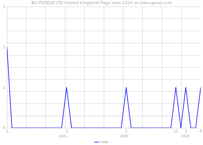 BIG PUDDLE LTD (United Kingdom) Page visits 2024 