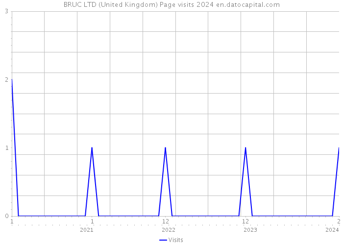 BRUC LTD (United Kingdom) Page visits 2024 