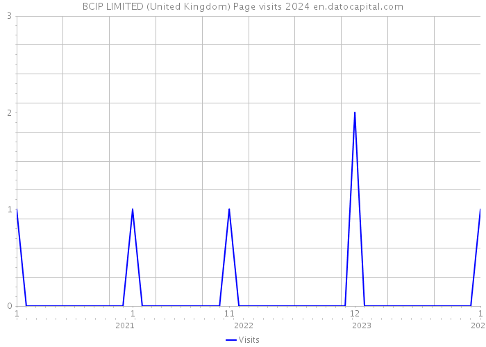BCIP LIMITED (United Kingdom) Page visits 2024 