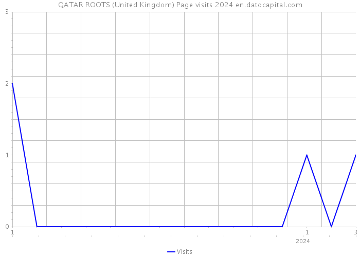 QATAR ROOTS (United Kingdom) Page visits 2024 