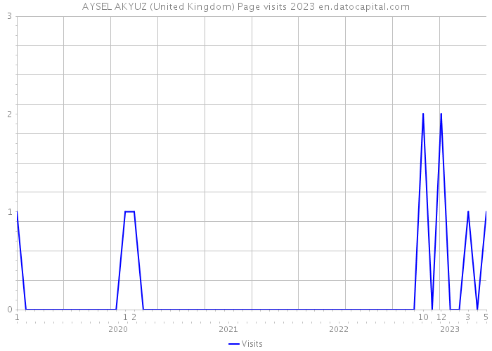 AYSEL AKYUZ (United Kingdom) Page visits 2023 