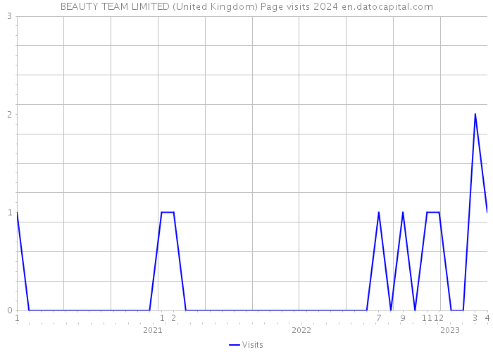BEAUTY TEAM LIMITED (United Kingdom) Page visits 2024 