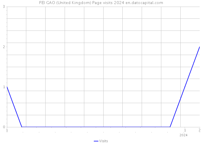 FEI GAO (United Kingdom) Page visits 2024 