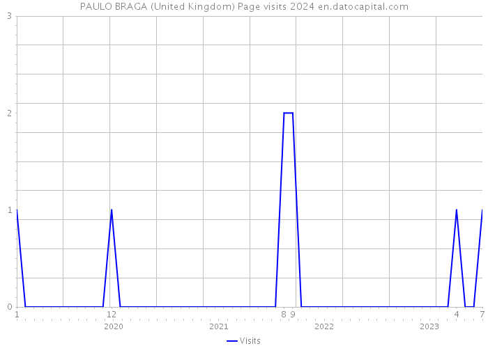 PAULO BRAGA (United Kingdom) Page visits 2024 