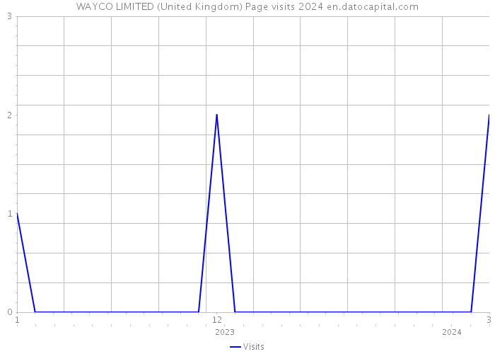 WAYCO LIMITED (United Kingdom) Page visits 2024 