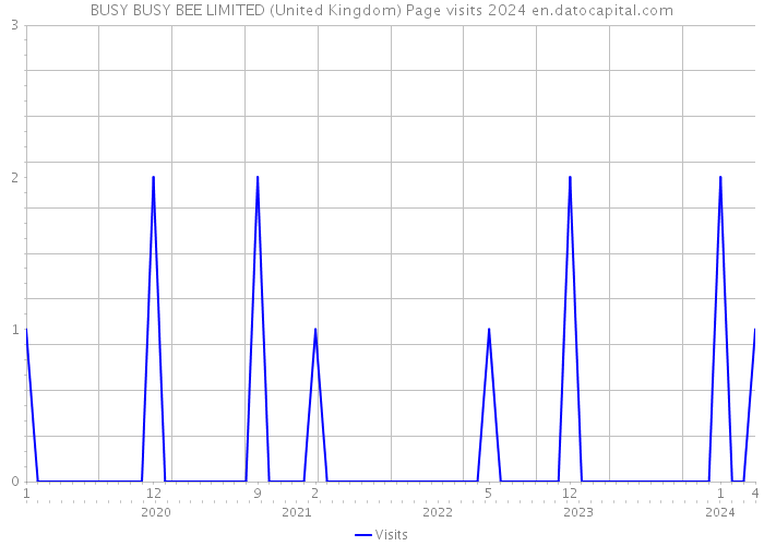 BUSY BUSY BEE LIMITED (United Kingdom) Page visits 2024 