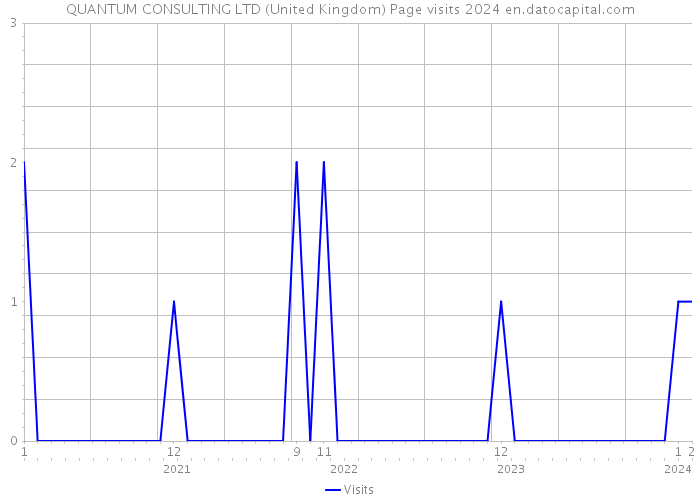 QUANTUM CONSULTING LTD (United Kingdom) Page visits 2024 