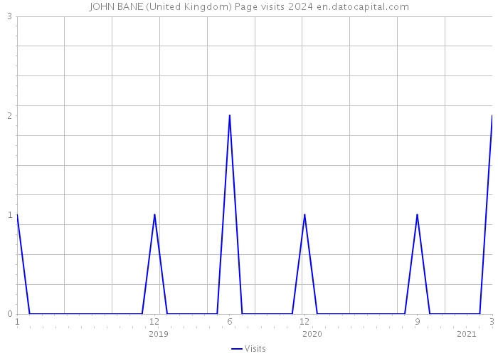 JOHN BANE (United Kingdom) Page visits 2024 