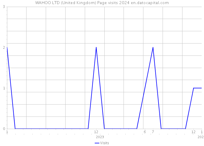WAHOO LTD (United Kingdom) Page visits 2024 