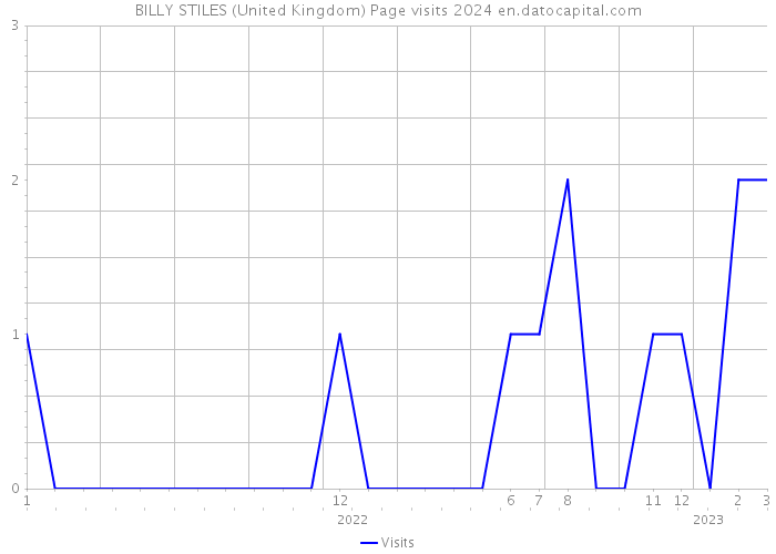 BILLY STILES (United Kingdom) Page visits 2024 