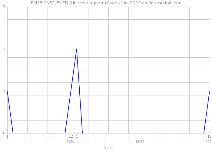 BRIZE CASTLE LTD (United Kingdom) Page visits 2024 