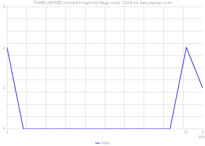 TAME LIMITED (United Kingdom) Page visits 2024 