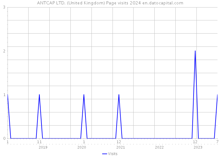 ANTCAP LTD. (United Kingdom) Page visits 2024 