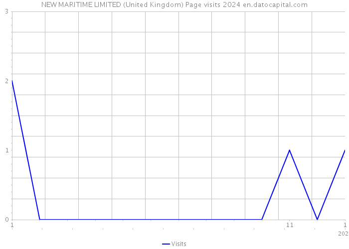 NEW MARITIME LIMITED (United Kingdom) Page visits 2024 