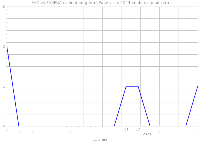 SAGUN SAXENA (United Kingdom) Page visits 2024 