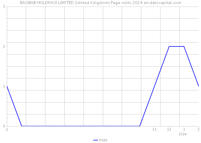 BAOBAB HOLDINGS LIMITED (United Kingdom) Page visits 2024 