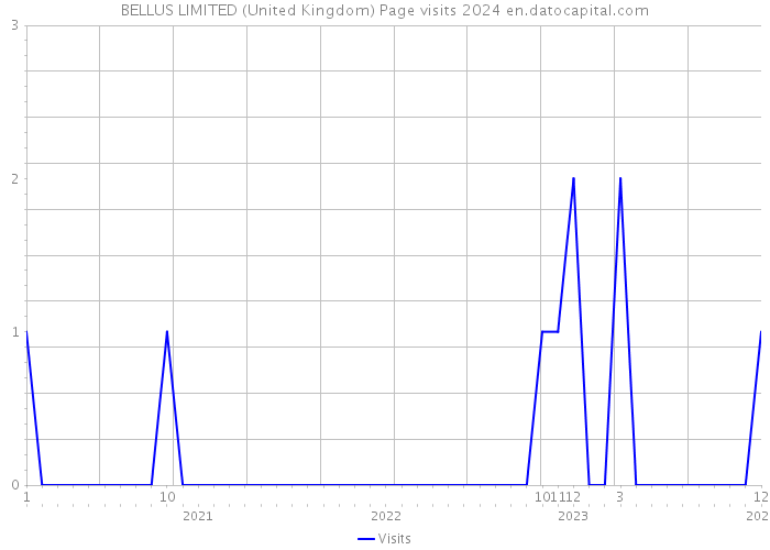 BELLUS LIMITED (United Kingdom) Page visits 2024 