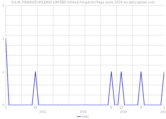 S.A.M. FINANCE HOLDING LIMITED (United Kingdom) Page visits 2024 