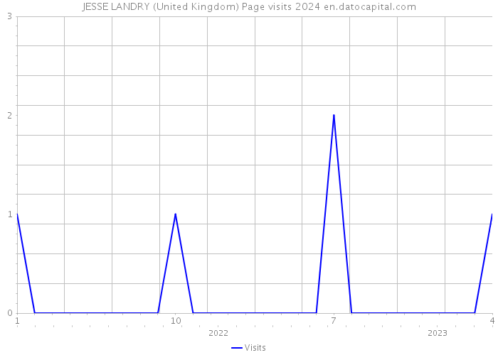 JESSE LANDRY (United Kingdom) Page visits 2024 