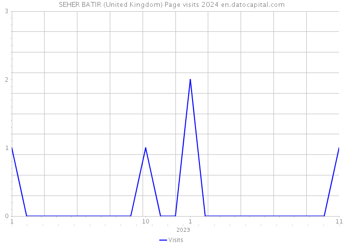 SEHER BATIR (United Kingdom) Page visits 2024 