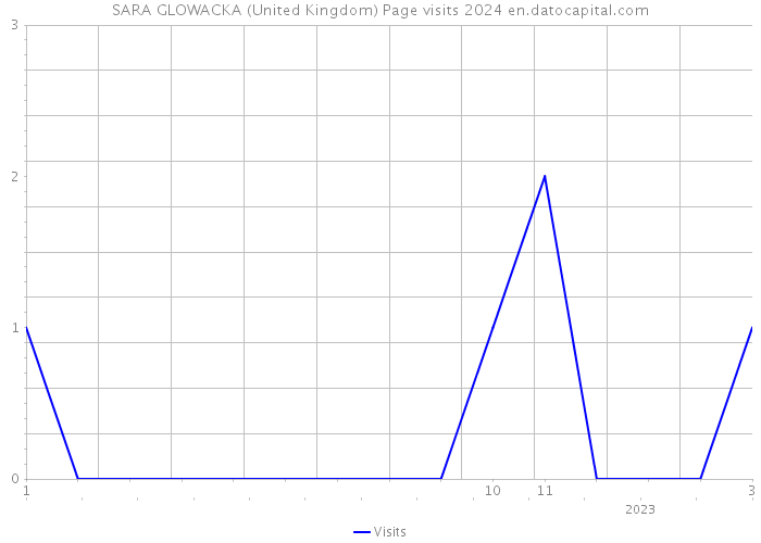 SARA GLOWACKA (United Kingdom) Page visits 2024 