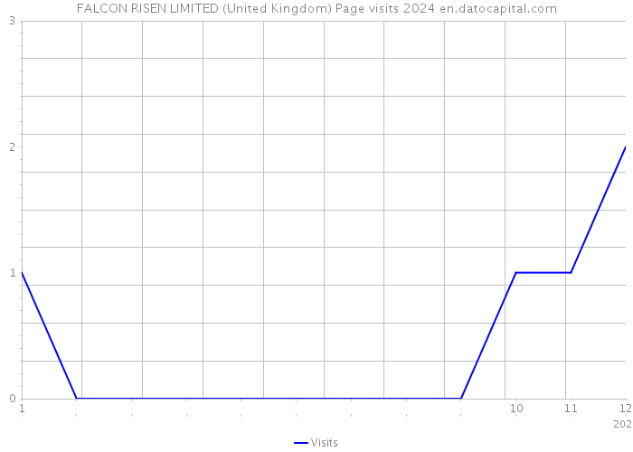 FALCON RISEN LIMITED (United Kingdom) Page visits 2024 