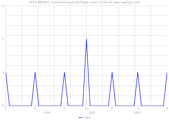 RITA BENNIS (United Kingdom) Page visits 2024 