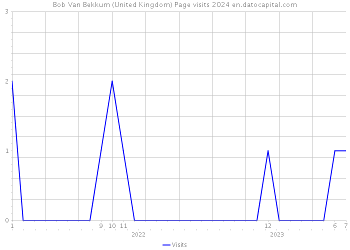 Bob Van Bekkum (United Kingdom) Page visits 2024 