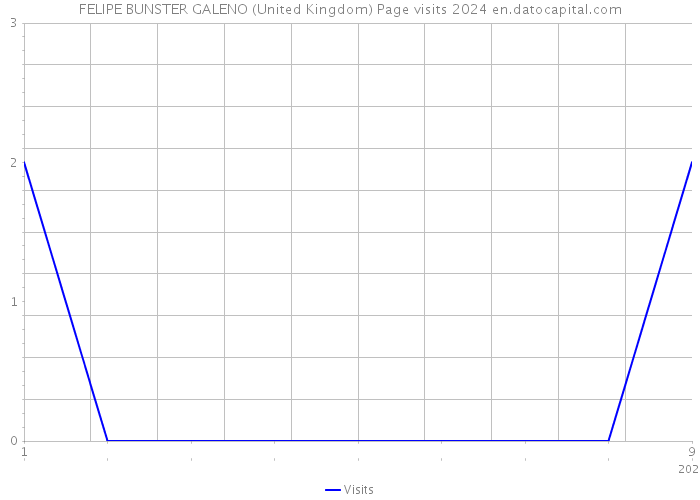 FELIPE BUNSTER GALENO (United Kingdom) Page visits 2024 